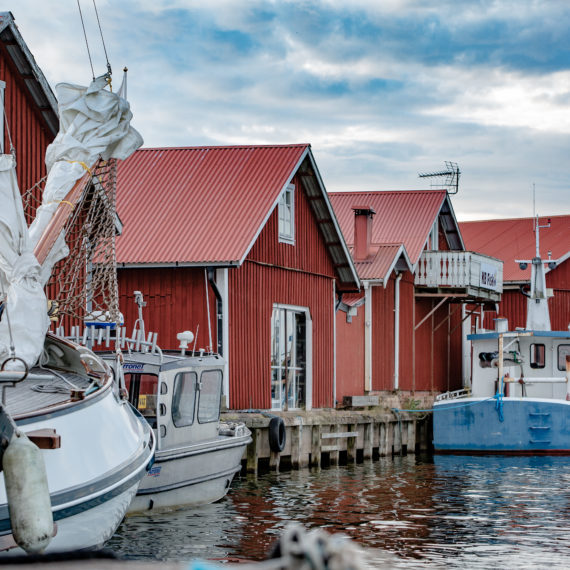 Foto: Linnea Gustavsson.